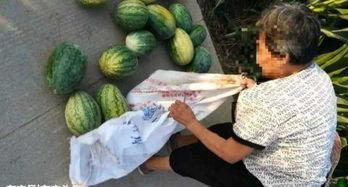 金华最新吃瓜事件爆料,揭秘神秘幕后真相  第3张